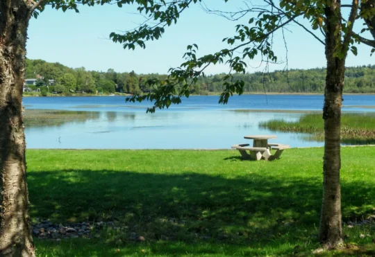 Volunteers sought for Ritchie Lake community advisory committee