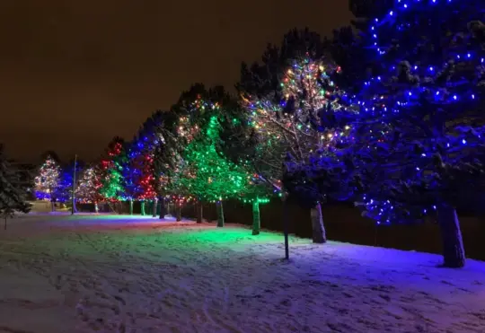Town of Riverview explains lights display outage