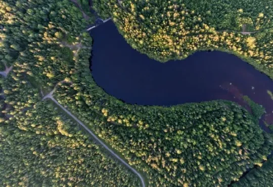 Town of Riverview closes some trails due to wildfire concerns