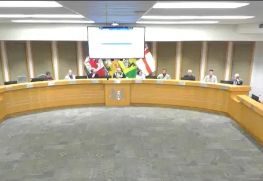 Riverview Town Council frustrated over crimes committed by repeat young offenders