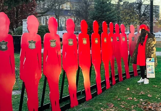 N.B. declaration on intimate partner violence inspires hope for future reforms