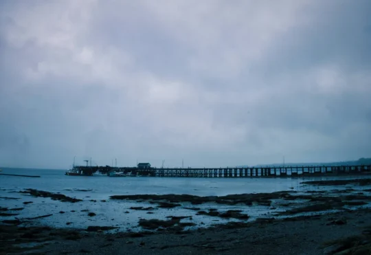 Saint Andrews wharf study released, faces public pushback