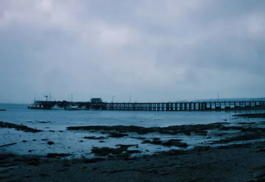 Saint Andrews wharf project future uncertain