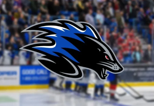 Sea Dogs gearing up with renewed focus and fresh faces