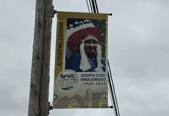 New banners celebrate history, heritage of Salisbury