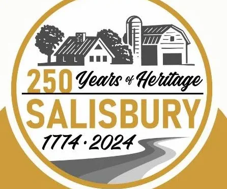 Town of Salisbury mounts cameras as part of pilot project
