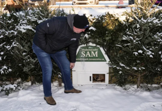 Nova Scotia and Ontario Groundhog Day forecasts: A Split Decision