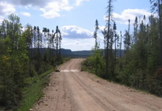 Forest access roads to get an extra $6 million