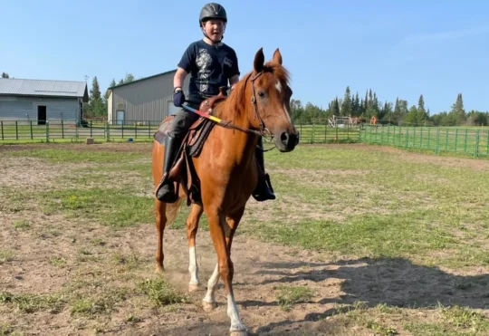 Thunder Bay ranch offers emotional support with horses