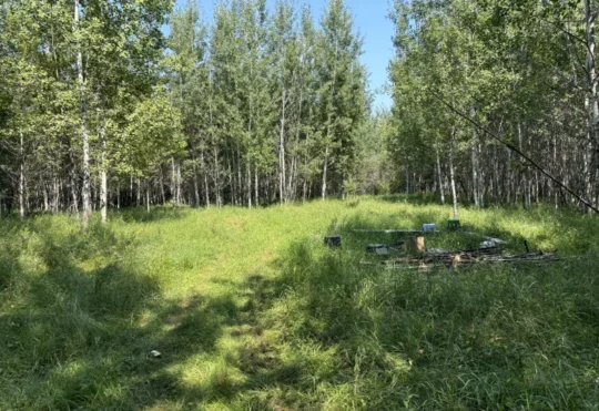 Outdoor learning area in Fort Frances to receive new features