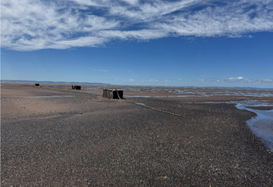 N.S. issues RFP for removal of abandoned railcars near the Walton River