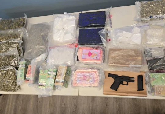 Thunder Bay: Roughly $836,000 of illegal drugs, 1 gun seized during drug trafficking investigation