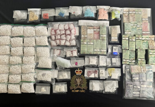 New Brunswick man pleads guilty to drug trafficking charges