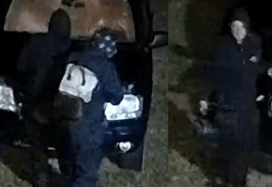 Mounties seek 2 people in Shediac-area incidents