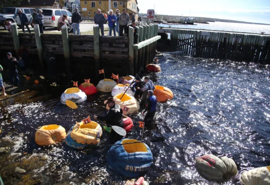 Giant pumpkin racing part of N.S. Thanksgiving tradition