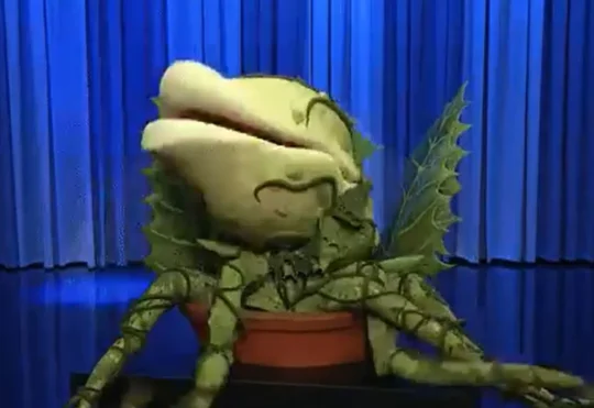 Horror, comedy, musical ‘Little Shop of Horrors’ takes over Neptune Theatre