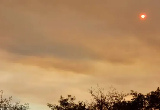 Smoke from Northwest Ontario wildfires prompts air quality warnings