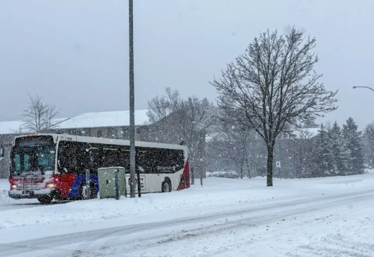 Saint John: Parking ban in place after messy storm