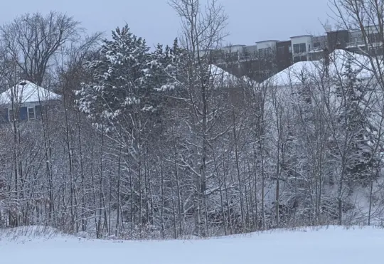 Snow squall watch in effect, could bring up to 10cm