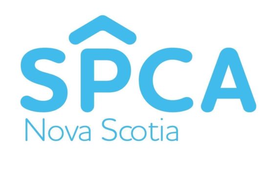 27 animals seized, 32 charges laid after 2 homes investigated
