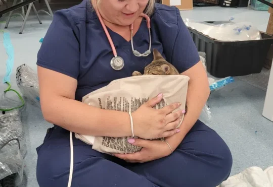 Lac Seul First Nation hosts animal clinic with Ontario SPCA