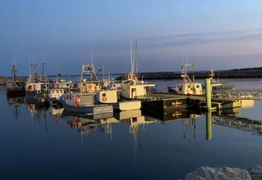 Fisheries group wins court case, Sipetne’katik to pay $15K