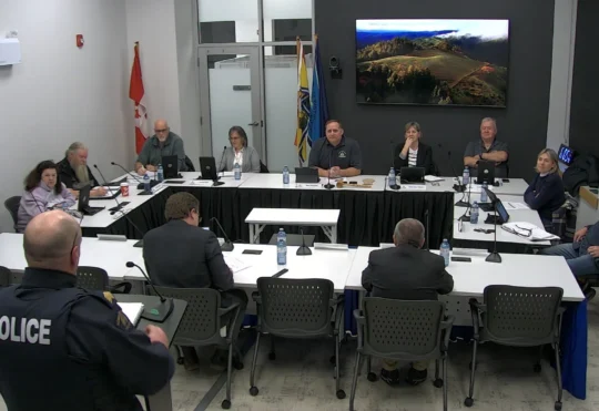 St. Stephen approves funds for a community safety survey