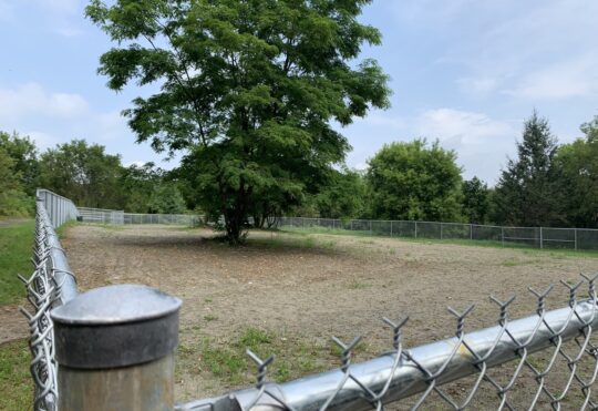 Off-leash dog park opens in St. Stephen