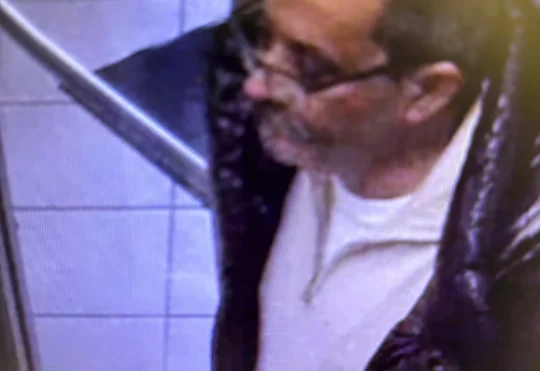 Dryden OPP searching for theft suspects