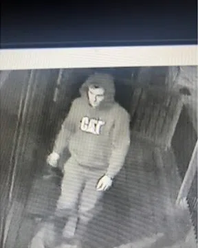 Police seeking suspect in western N.S. thefts