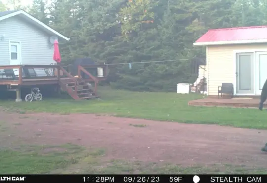 Police release new images of Pass Lake B&E suspect