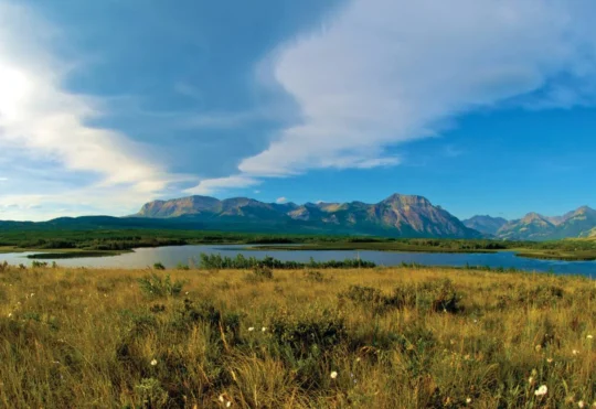 NCC focuses on linking conservation projects across Canada