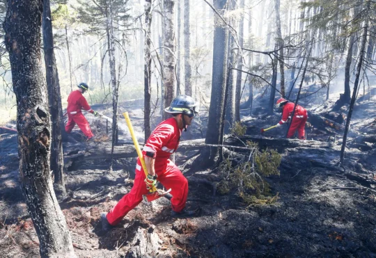 Halifax fire fighters lack resources for forest fires
