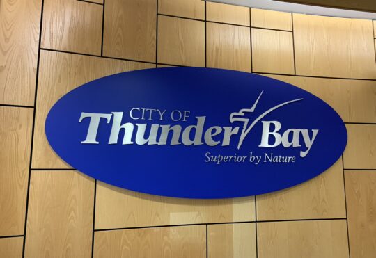 Thunder Bay declares gender-based violence epidemic