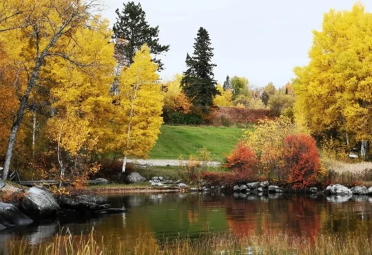 Dryden much warmer and drier last month