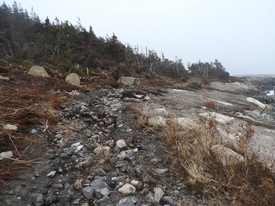 Damaged trail to be fixed in Cape Breton
