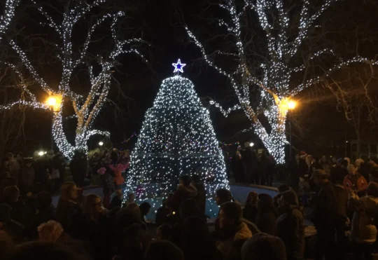 Town of Yarmouth tree lighting to kick off holiday season