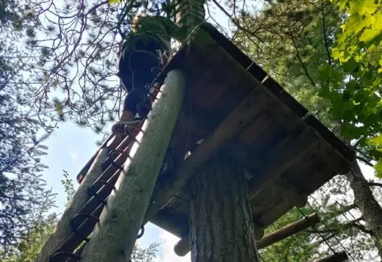 TreeGo Moncton Adventures shuts down
