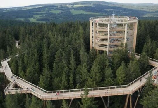 Victoria County officials take trip to explore potential tree walk designs