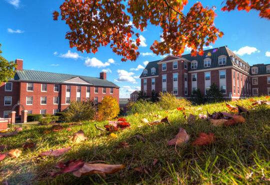 Study NB aims to attract more post-secondary students