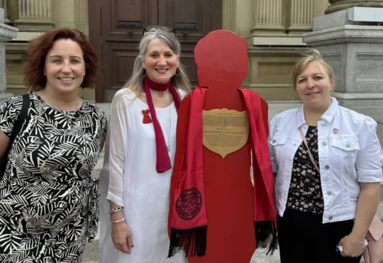 N.B. declares intimate partner violence an epidemic