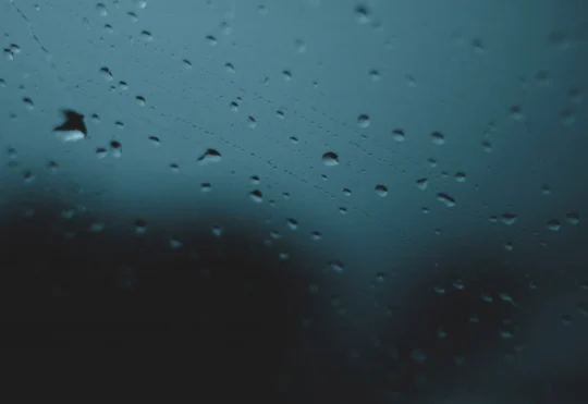 Parts of N.S. bracing for rain Thursday