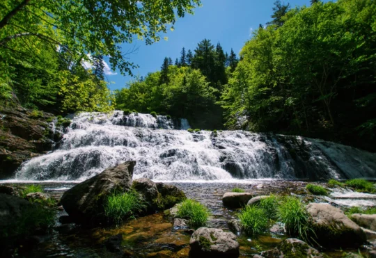 N.B. should set new targets for protected areas: survey