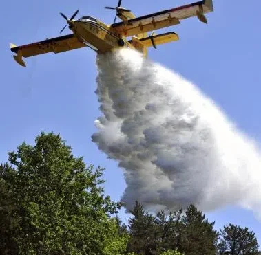 5 new forest fires Sunday in the northwest region