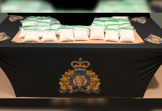 $200K worth of drugs seized in wooded area: RCMP