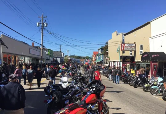 Digby ready for another Wharf Rat Rally