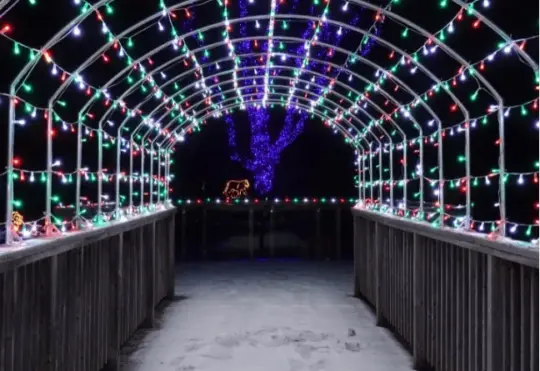 Magnetic Hill Zoo Wild Lights opens December 1st