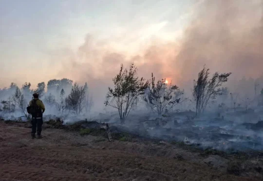 Wildfire conditions improving, but New Brunswickers much remain vigilant