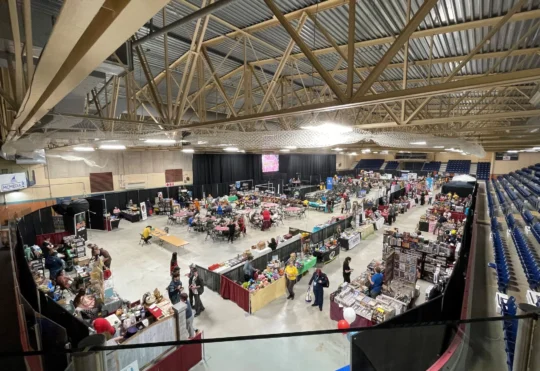 Y-Con ready to return to Mariners Centre