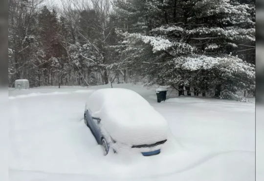 Wet snow, wind could knock out power during storm